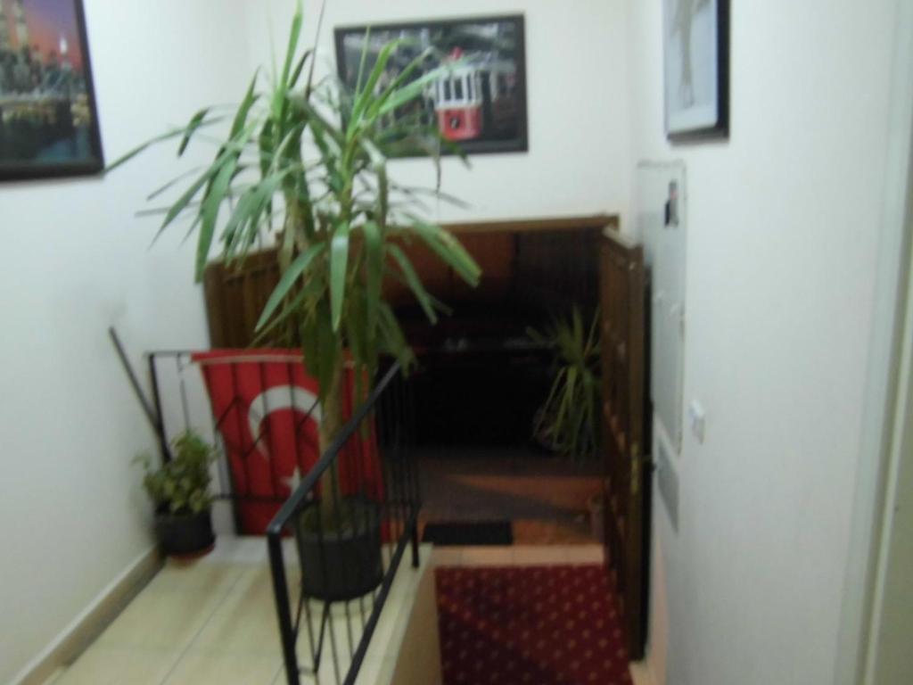 Cinar Hotel Antalya Buitenkant foto